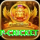 2022 world cup cricket Deluxe v5.1.7