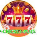 2022 world cup cricket Slot Machine Turbo