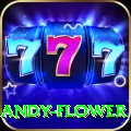 andy flower Plus Edition v5.2.8