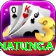 arjuna ranatunga VIP v3.5.8