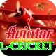 bbl cricket Deluxe Edition v4.1.9
