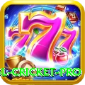 bbl cricket Royal 2024