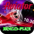 bingo Pro Max v4.3.8