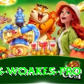 chris woakes APK Extreme v3.7.0
