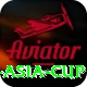 cricbuzz asia cup Premium Edition v2.3.8
