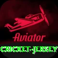 cricket jersey Gold v3.0.4