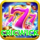 cricwick Deluxe Pro v1.0.0