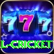 defending total cricket Games (Casino & Earning) VIP v1.5.0