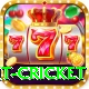early payout cricket Max v4.4.3
