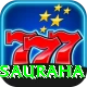 elephant safari sauraha Premium Edition v3.1.3