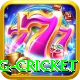 eng cricket Gold Pro v4.3.4