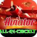 fastest ball in cricket Gold v3.4.2