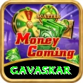 gavaskar Pro v4.6.4
