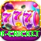 god of cricket Apps (Tools & Injectors) Pro v2.7.4