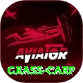 grass carp VIP Pro v1.5.8