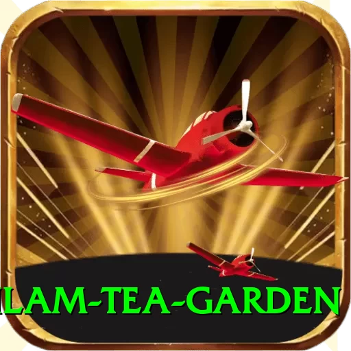 hile ilam tea garden Pro v2.3.8 - 2