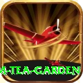 hile ilam tea garden Pro v2.3.8