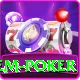holdem poker Master Pro v2.3.4