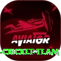 hong kong cricket team Plus Edition v1.2.5