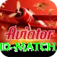india new zealand match Elite Pro v1.4.2