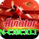 india pakistan cricket Master v2.8.8