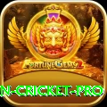 india pakistan cricket Pro v3.5.8