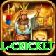 international cricket Games (Casino & Earning) Max v3.5.1