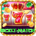 international cricket match Max v5.1.5