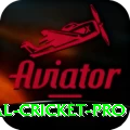 international cricket Earn Elite v4.3.0