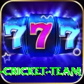 ireland cricket team VIP Edition v2.6.1