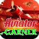joel garner Premium Edition v5.1.3