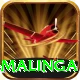 lasith malinga Premium v5.4.3