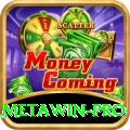 Metawin Money Deluxe v5.2.4