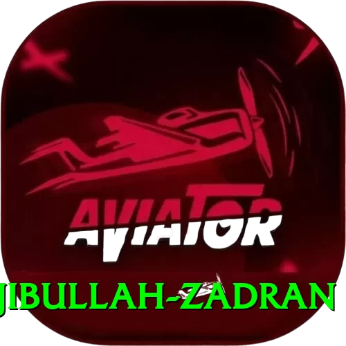 najibullah zadran Games (Casino & Earning) Deluxe v1.0.9 - 2