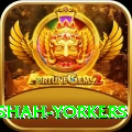 naseem shah yorkers Deluxe Edition v3.2.8