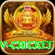 ndtv cricket Master v3.4.3