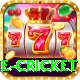 online cricket Gold Pro v3.4.9