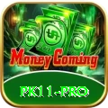pk11 Cash Pro