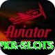 pkr slots Apps (Tools & Injectors) Premium v1.1.5
