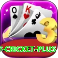 play cricket Games Extreme