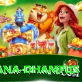 pothana dhampus Pro Max v4.9.6