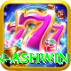 ravichandran ashwin Premium Edition v2.7.4