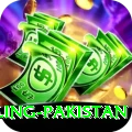 responsible gambling pakistan VIP Edition v3.6.5