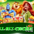 risk free bet cricket Apps (Tools & Injectors) Master v5.8.2