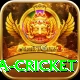 sa cricket Pro Max v3.4.8