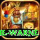 shane warne Apps (Tools & Injectors) Plus v5.2.8