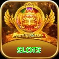 slots Pro Edition v4.4.2