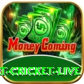 smart cricket live Master Pro v2.2.3