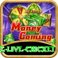 smartcric live cricket Plus Edition v2.6.7