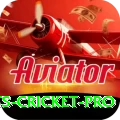 sports cricket - Slots Turbo